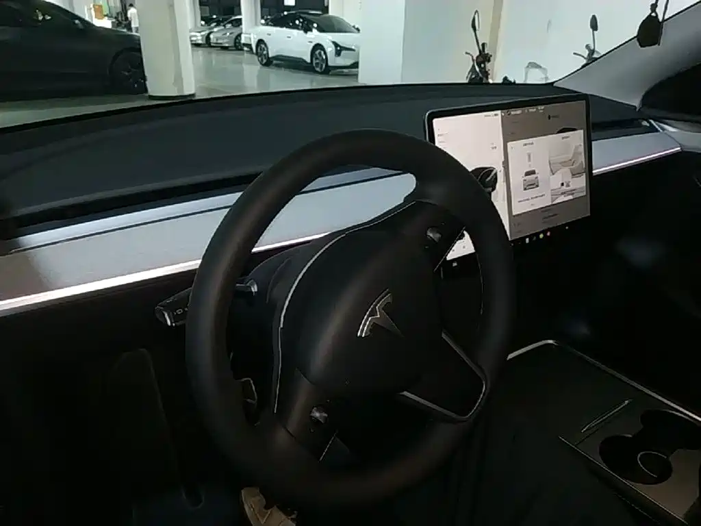 Tesla Model Y — миниатюра 10