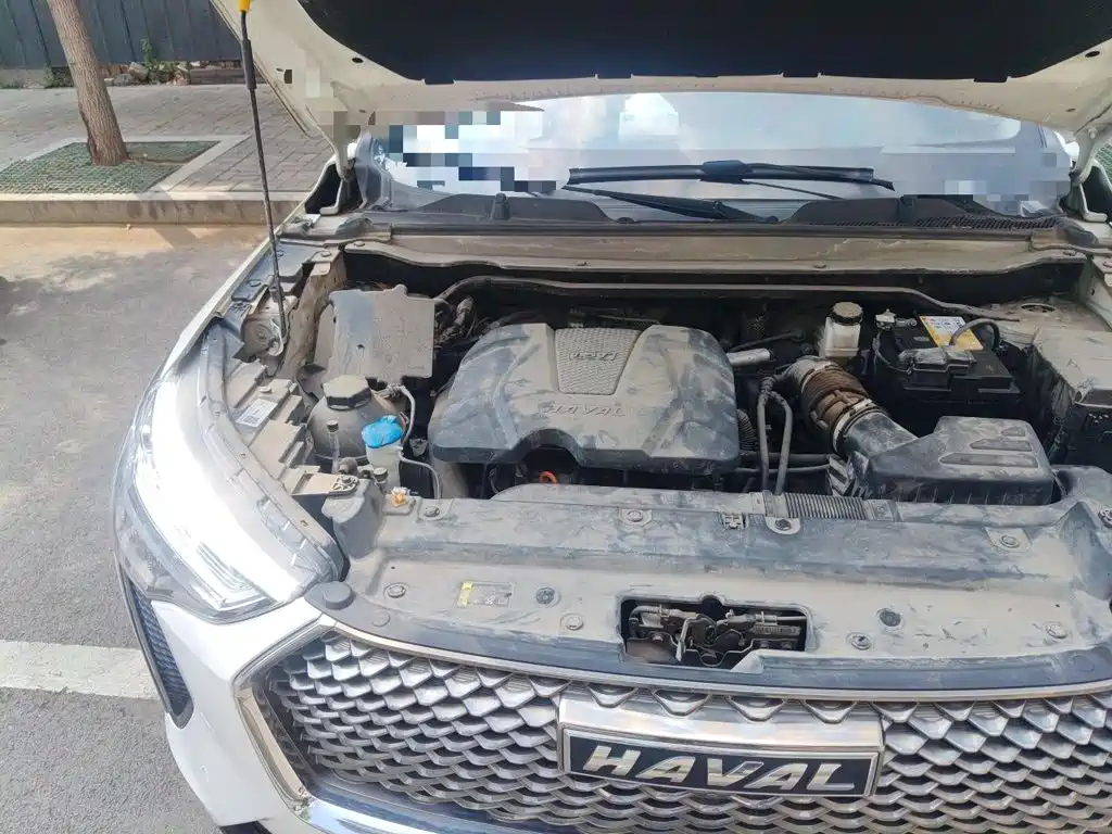 Haval Chulian — миниатюра 20