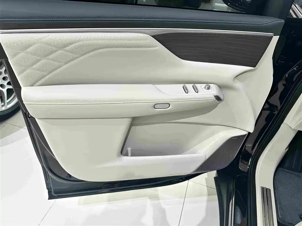 Buick Electra Encasa — миниатюра 7