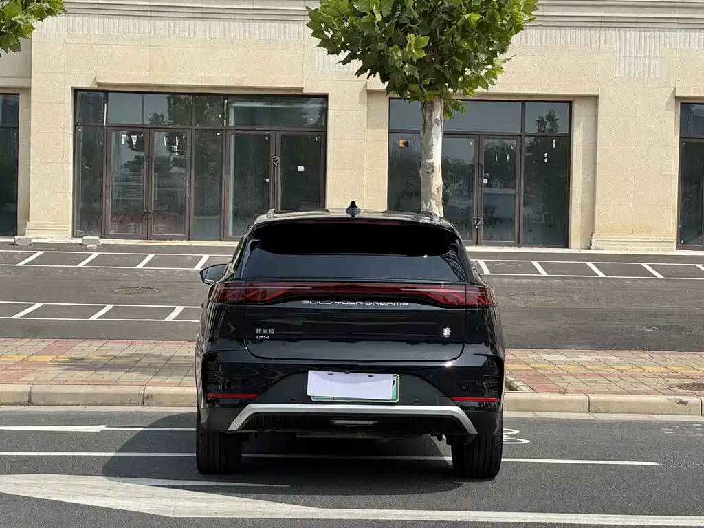BYD Tang New Energy — миниатюра 17
