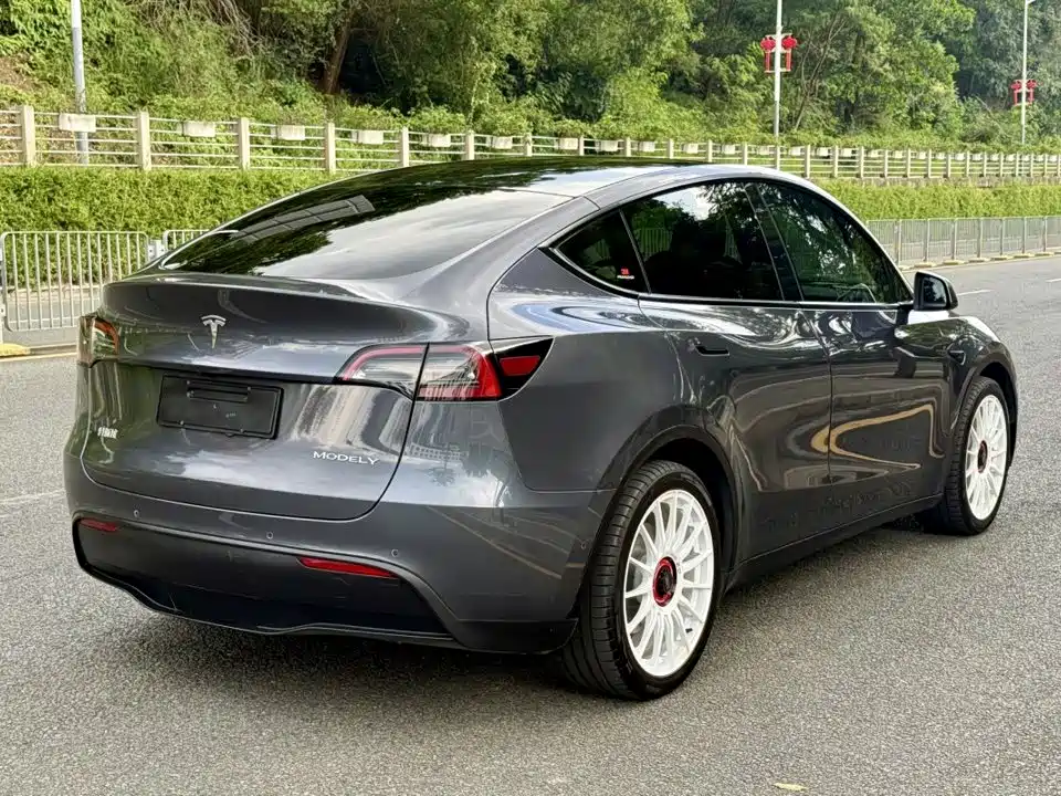Tesla Model Y — миниатюра 9