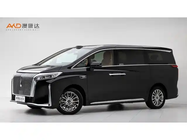 2025 Wey Gaoshan