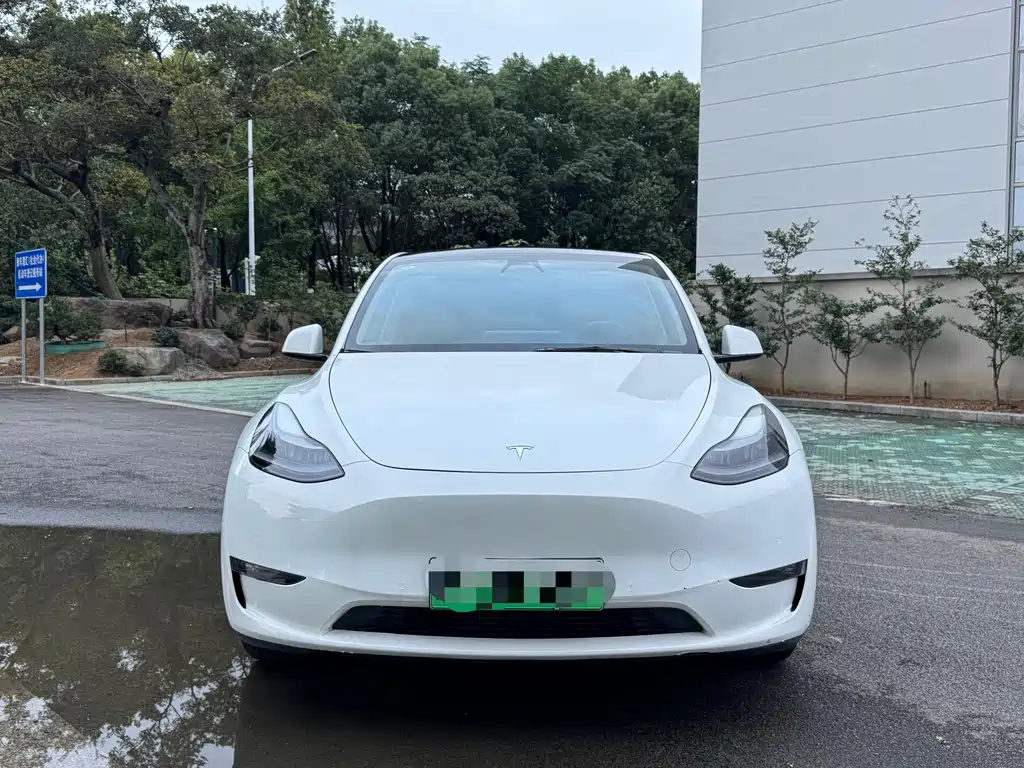 Tesla Model Y — миниатюра 2
