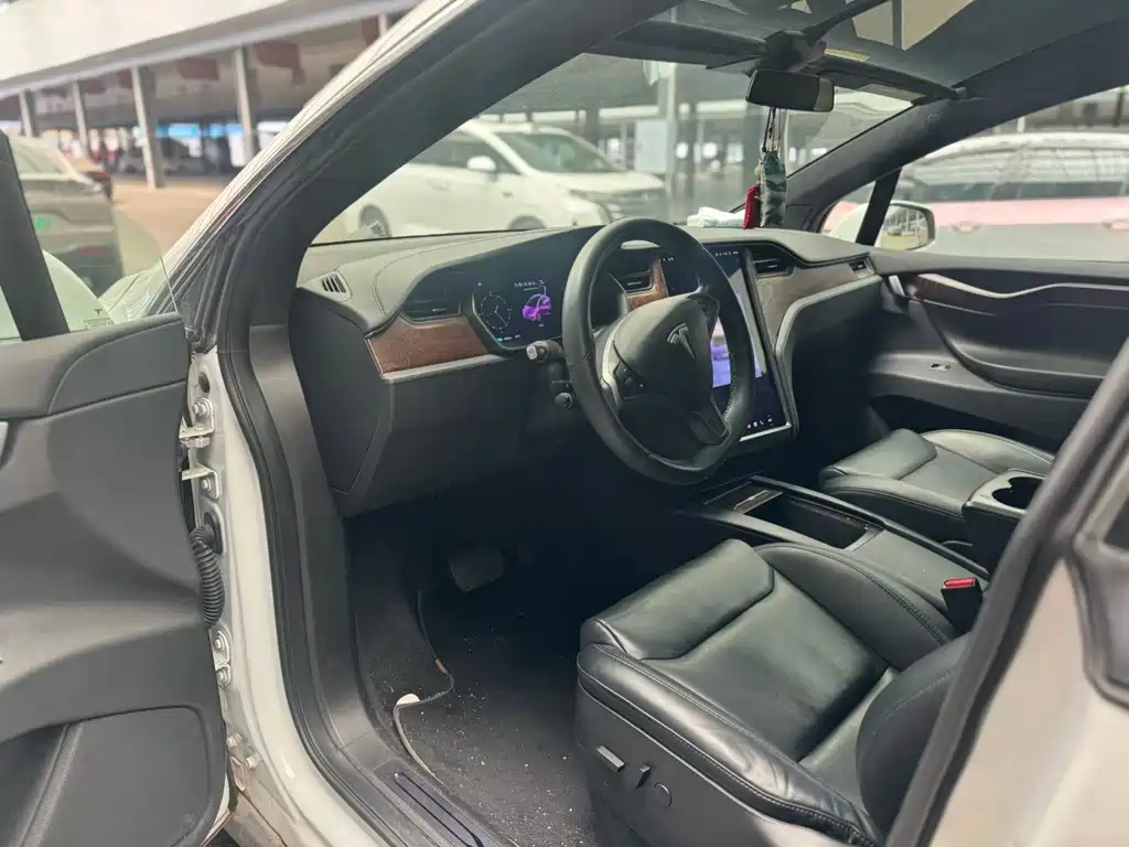 Tesla Model X — миниатюра 4