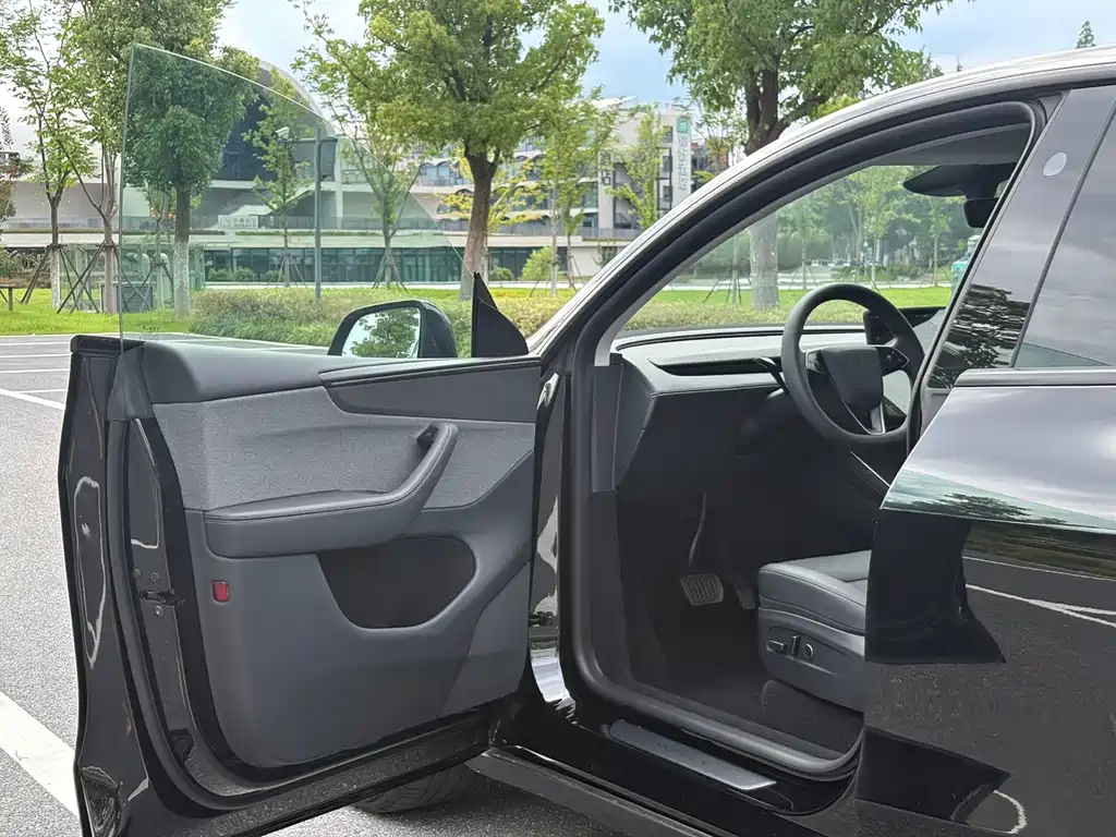 Tesla Model Y — миниатюра 7