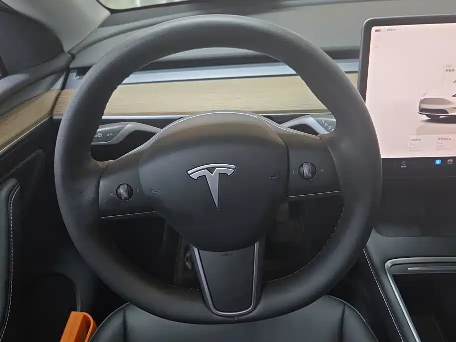Tesla Model Y — миниатюра 15