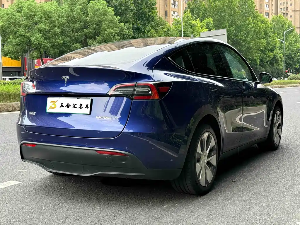 Tesla Model Y — миниатюра 10