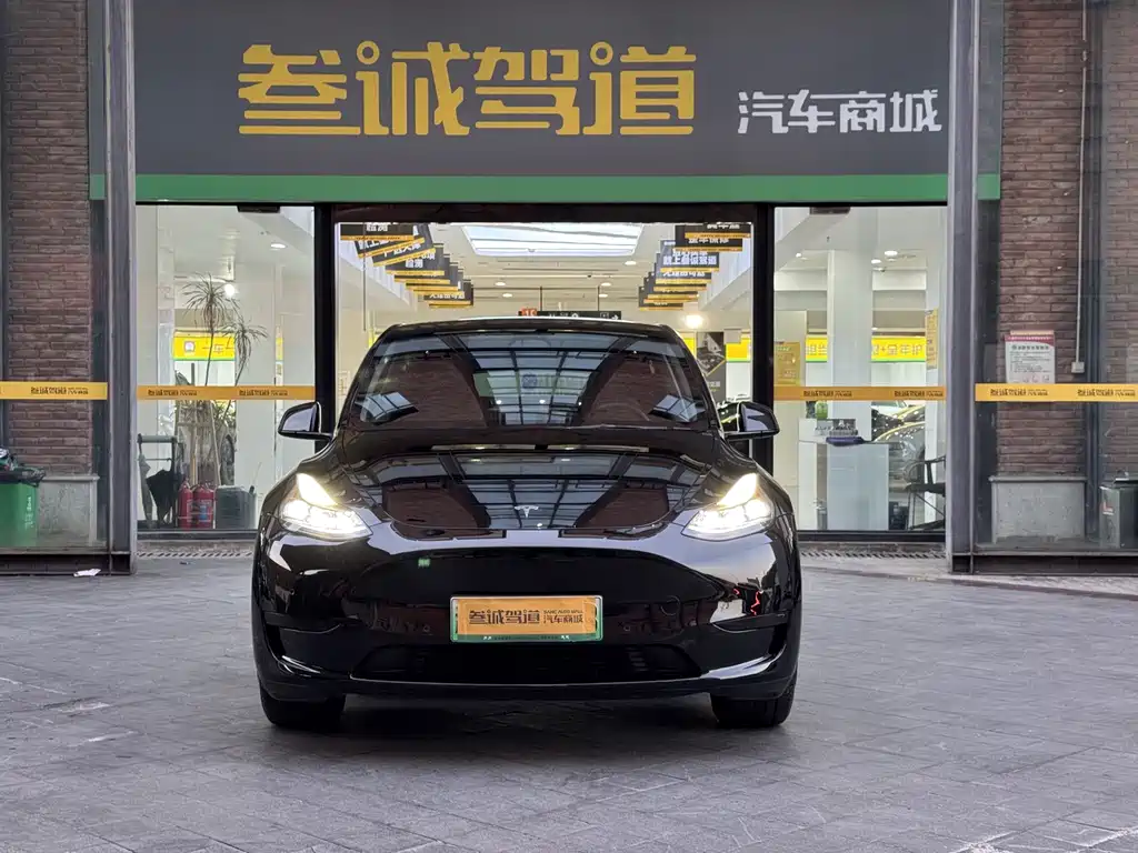 Tesla Model Y — миниатюра 2