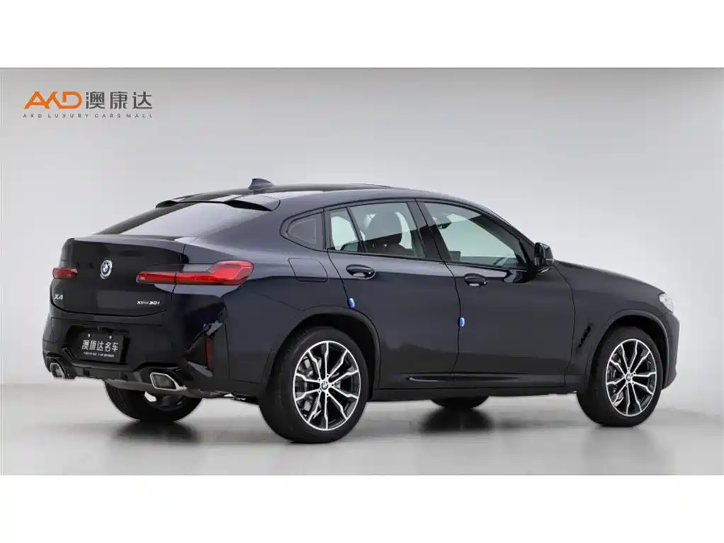 BMW X4 2022 xDrive 30i M Sport
