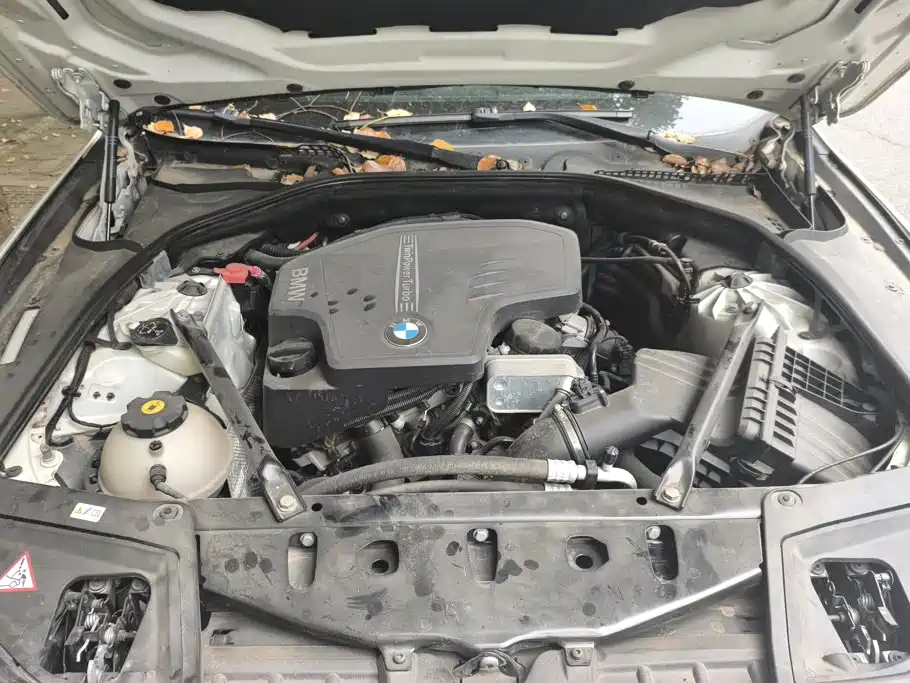 BMW 5 Series (Import) — миниатюра 10