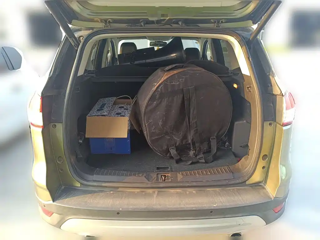 Ford Kuga — миниатюра 15