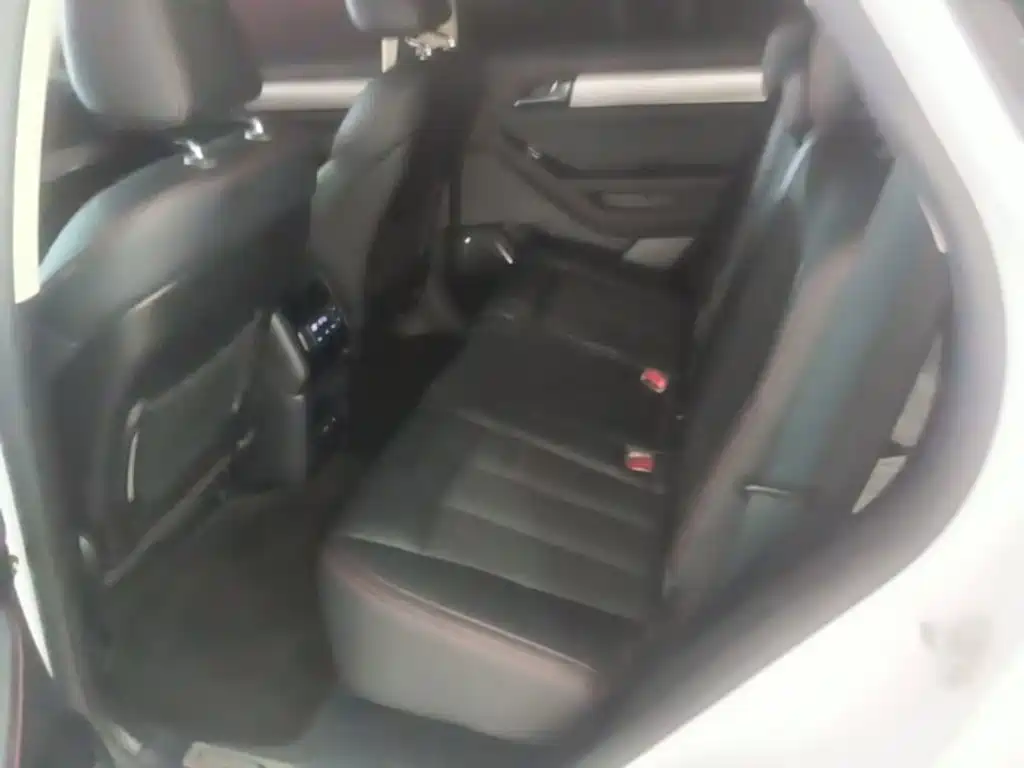 BYD Tang New Energy — миниатюра 17