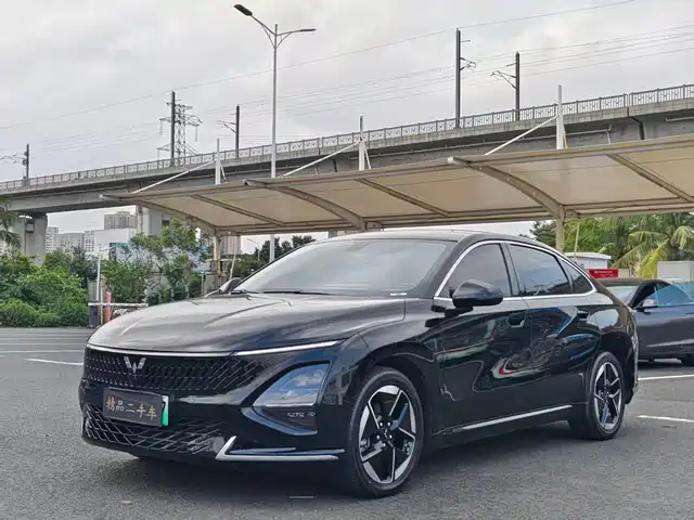 WULING WULING STARLIGHT 2024