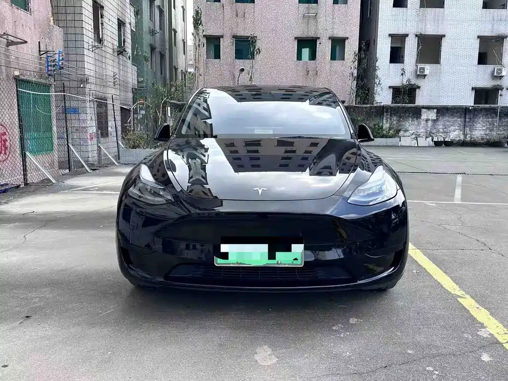 Tesla Model Y — миниатюра 3