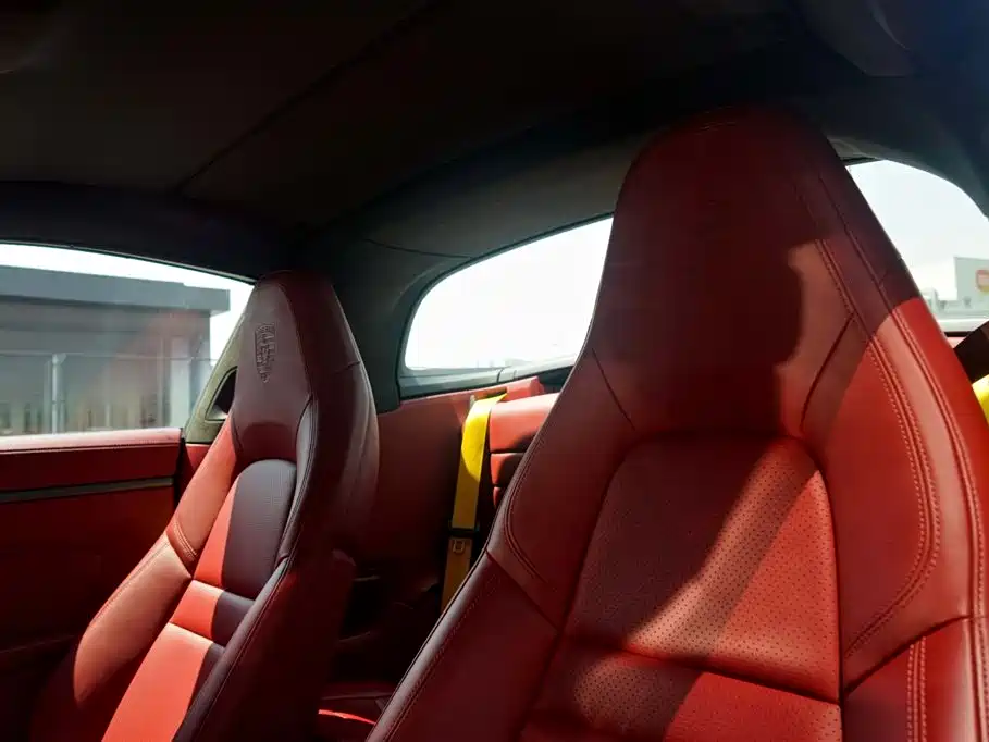 Porsche 911 — миниатюра 20