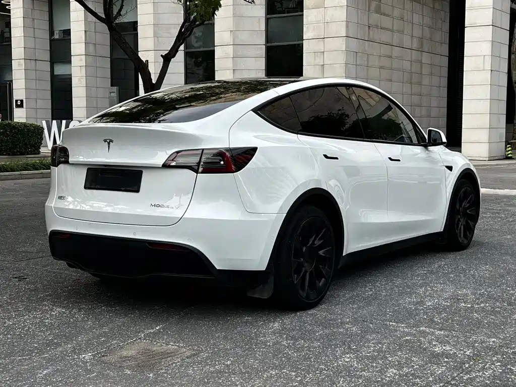 Tesla Model Y — миниатюра 16