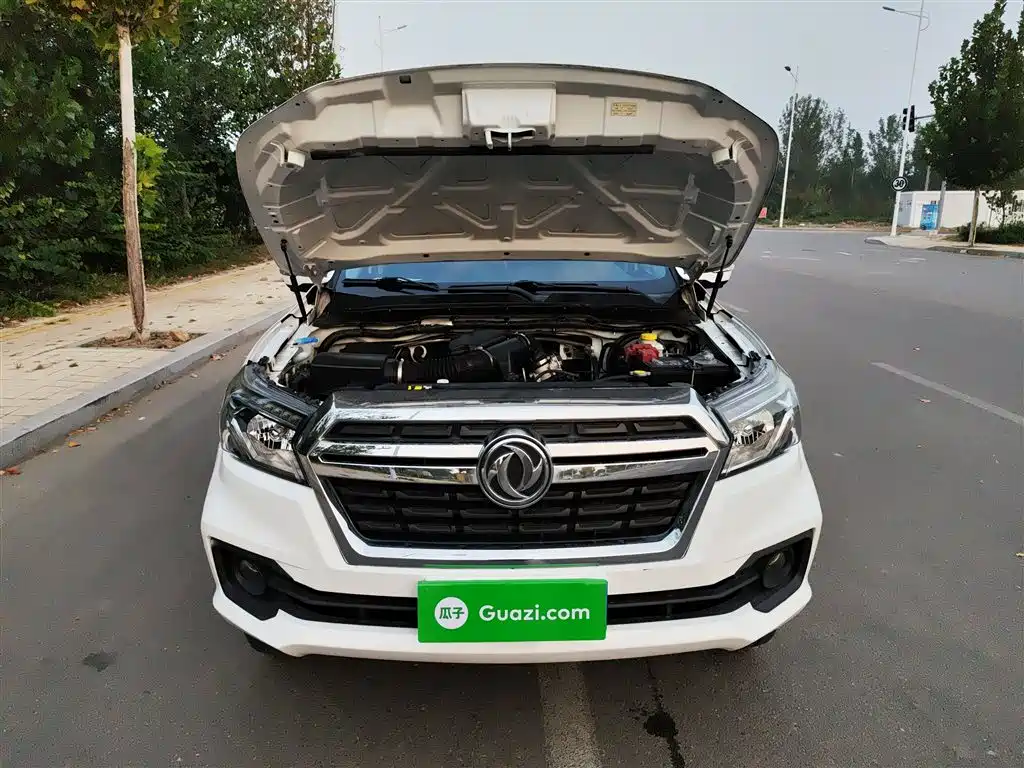 Dongfeng Rich 6 — миниатюра 11