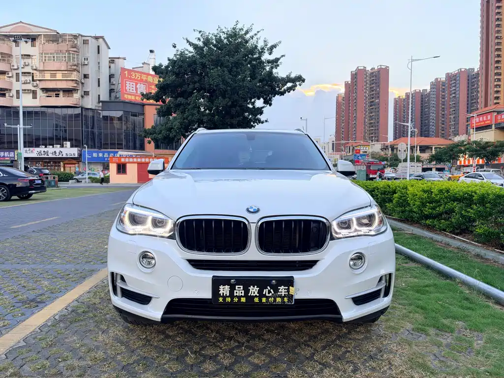 BMW X5 (Import) — миниатюра 2