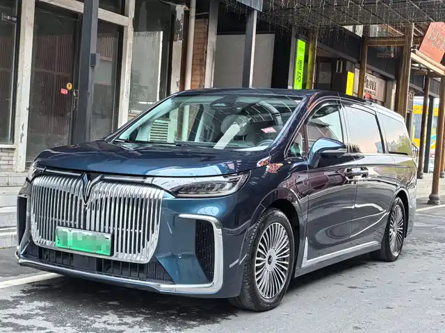 2025 Voyah Dream
