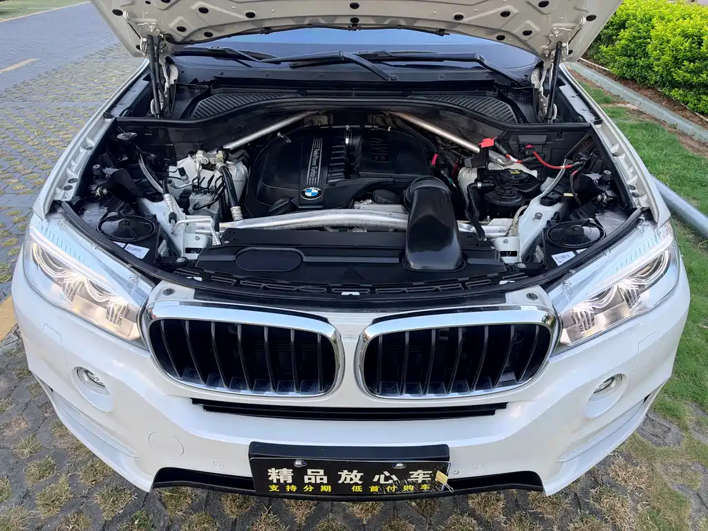 BMW X5 (Import) — миниатюра 10