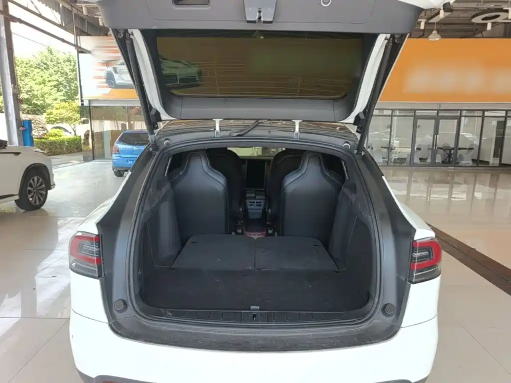 Tesla Model X — миниатюра 19