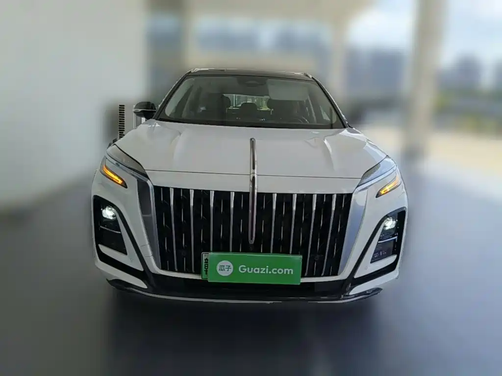 Hongqi Hongqi HS3 PHEV — миниатюра 5