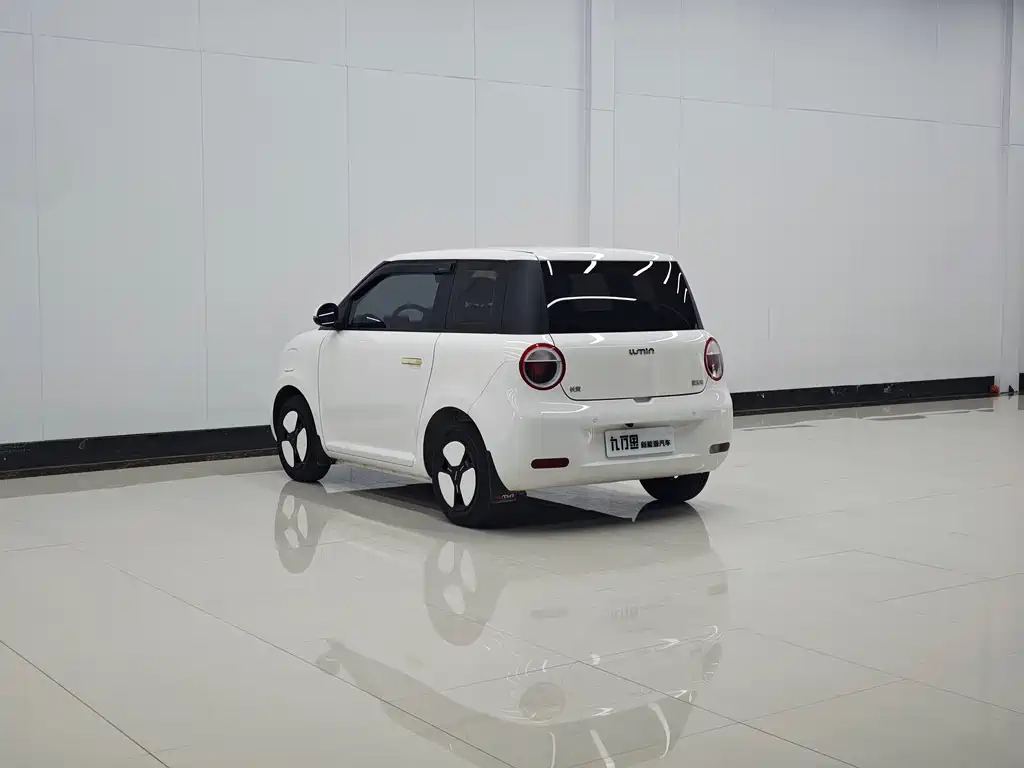 Qiyuan Lumin — миниатюра 9