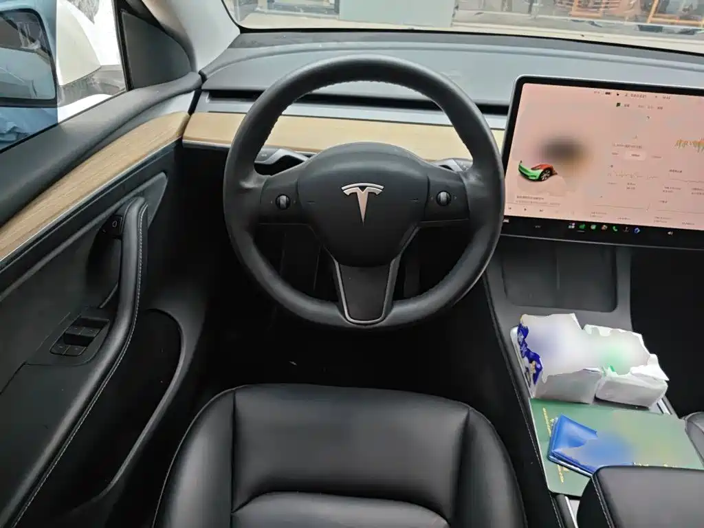 Tesla Model Y — миниатюра 6