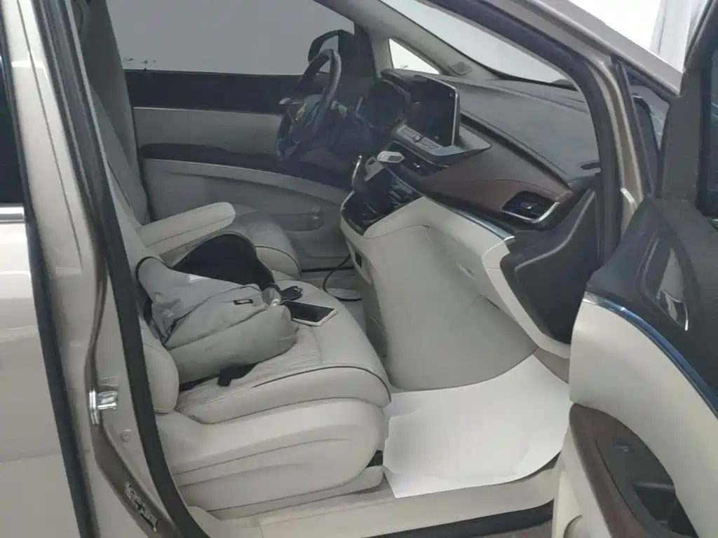 Buick GL8 — миниатюра 25