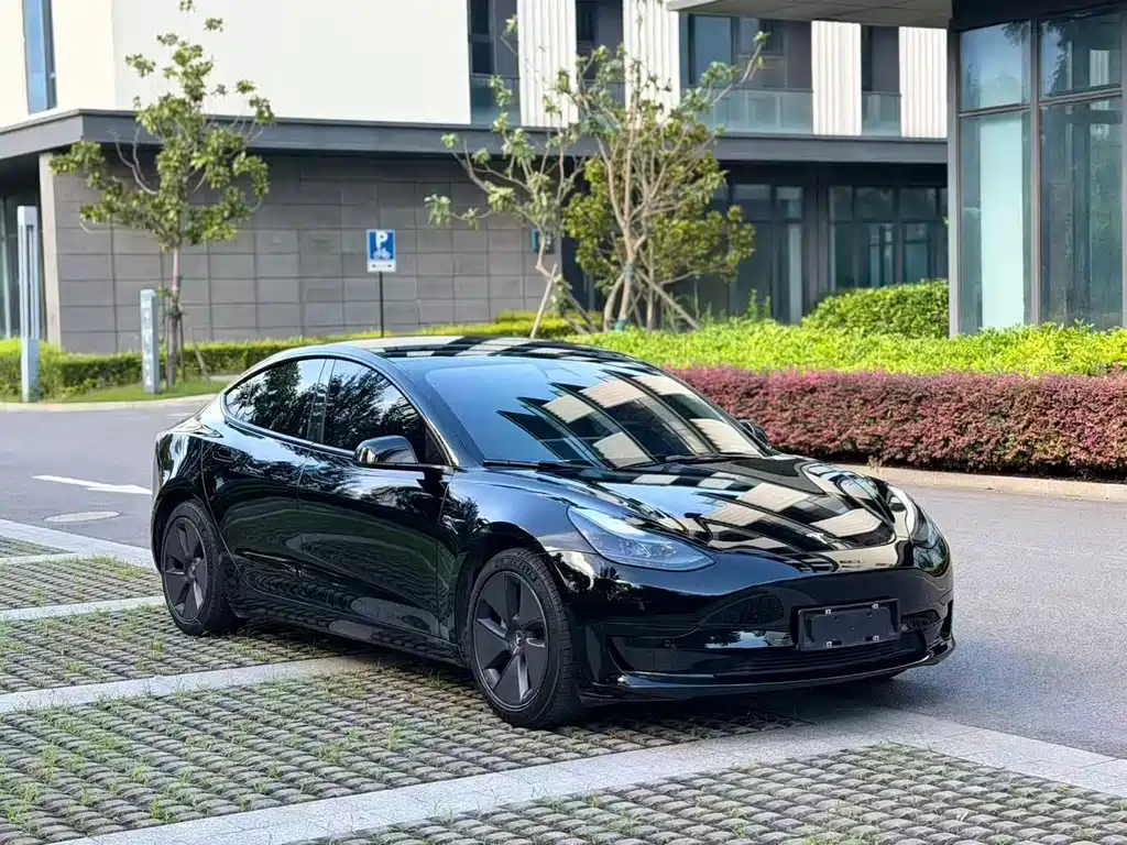 Tesla Model 3 — миниатюра 3