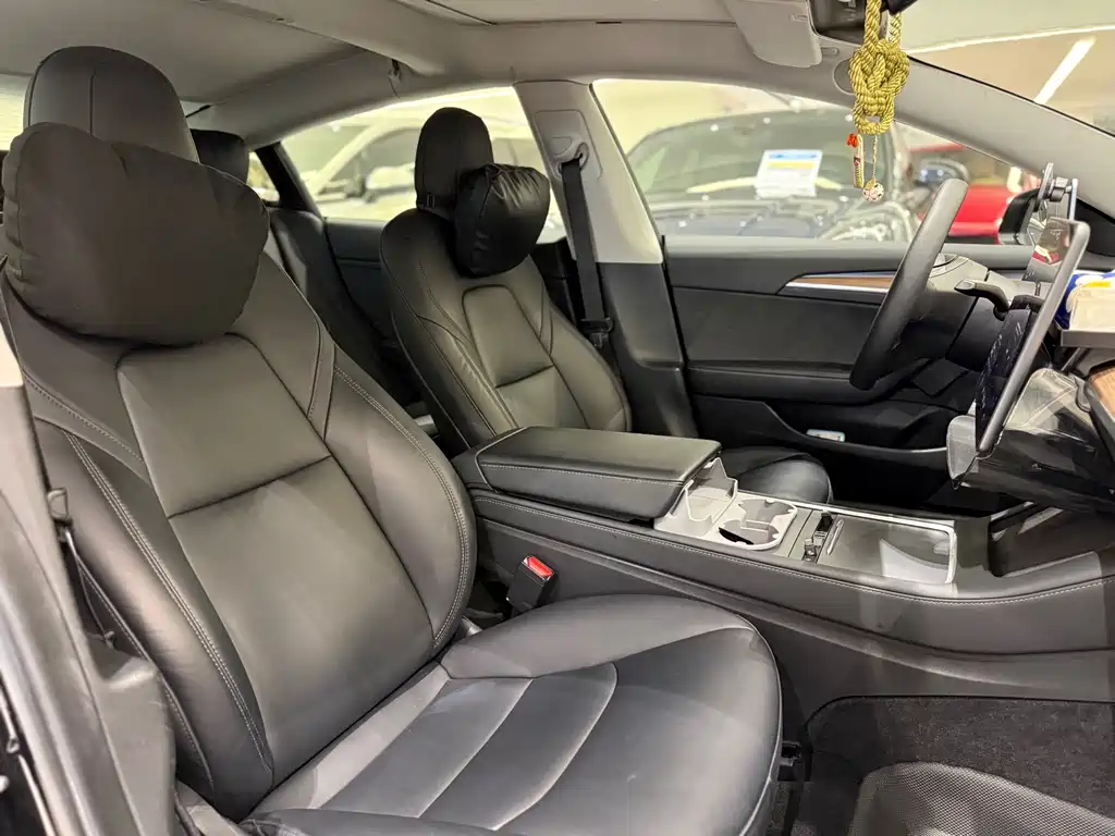 Tesla Model 3 2021 3D6