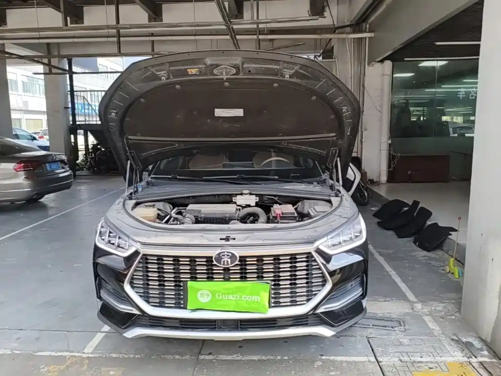 BYD PLUS — миниатюра 20