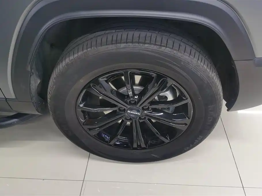 HAVAL RAPTORS NEW ENERGY