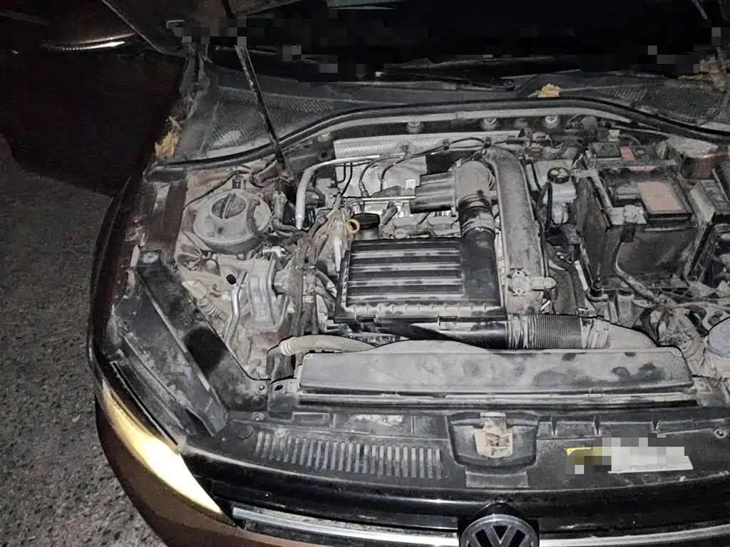 Volkswagen Lamando — миниатюра 20