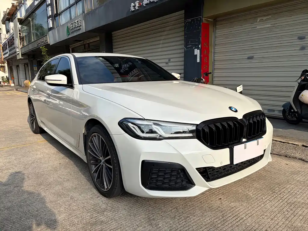 BMW 5 Series — миниатюра 3