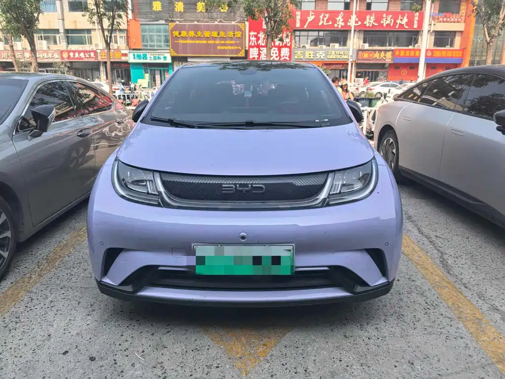 BYD Dolphin — миниатюра 2