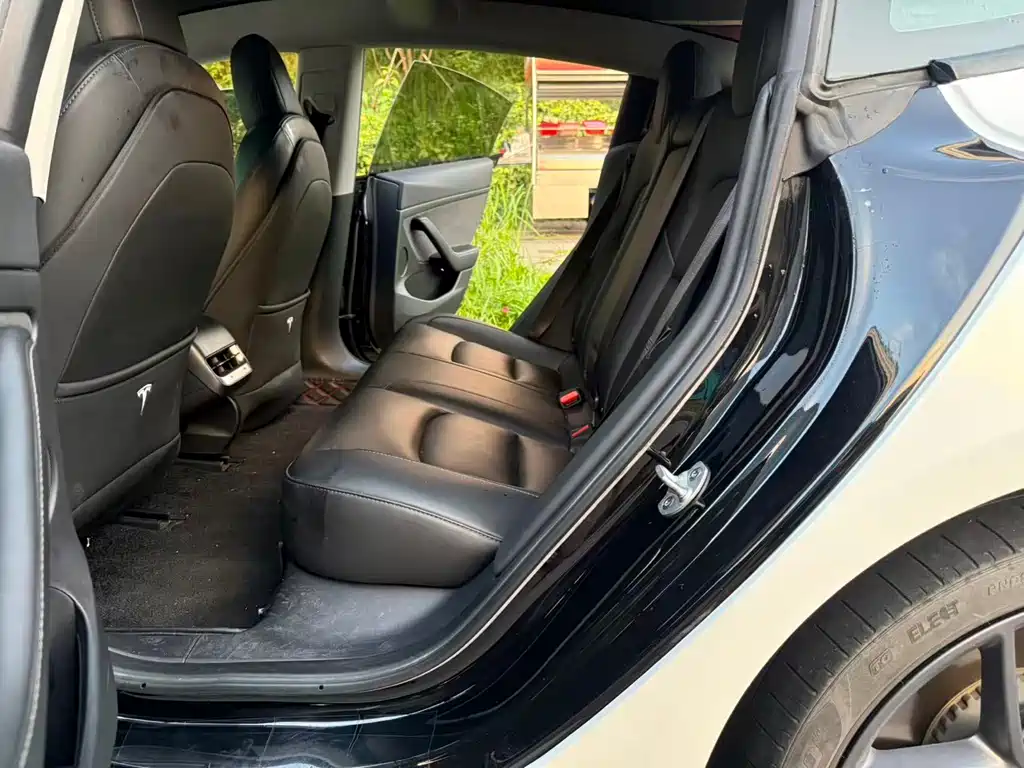 Tesla Model 3 — миниатюра 10