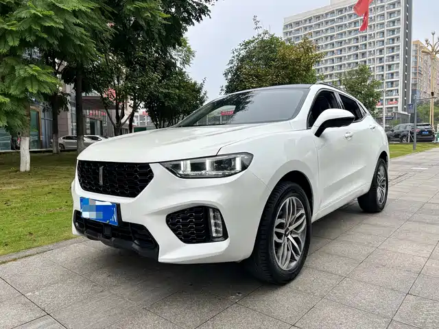 WEI PAI WEI BRAND VV5 2018