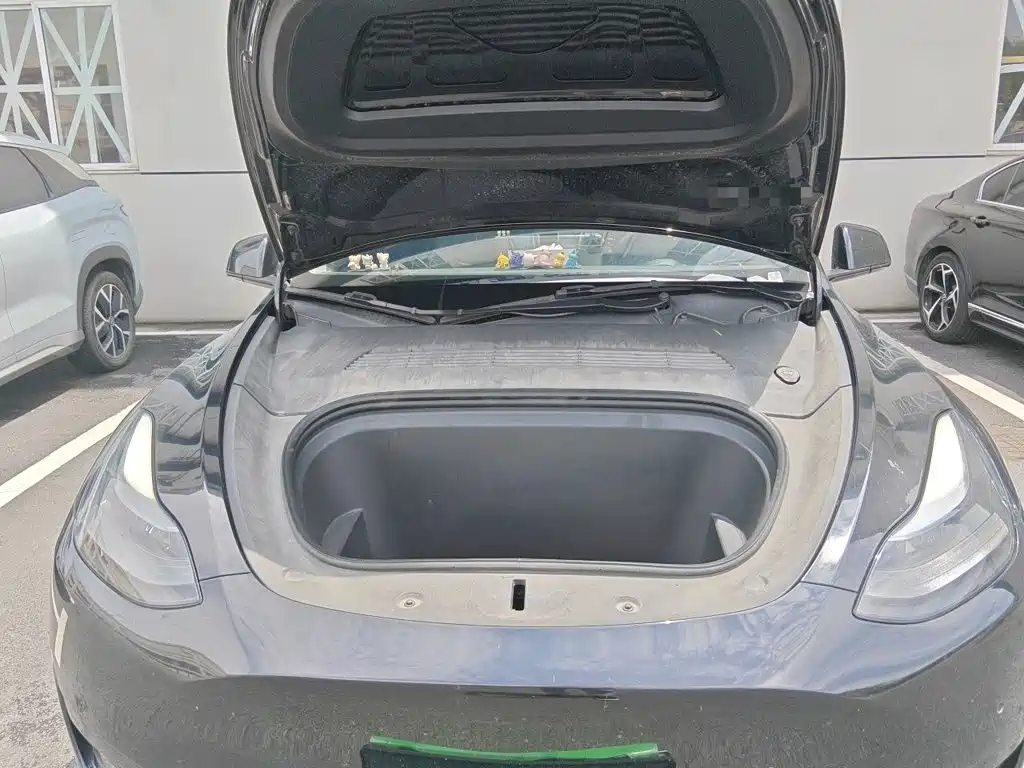 Tesla Model Y — миниатюра 11
