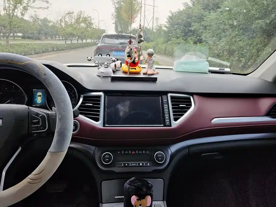 Haval H6 Coupe — миниатюра 13