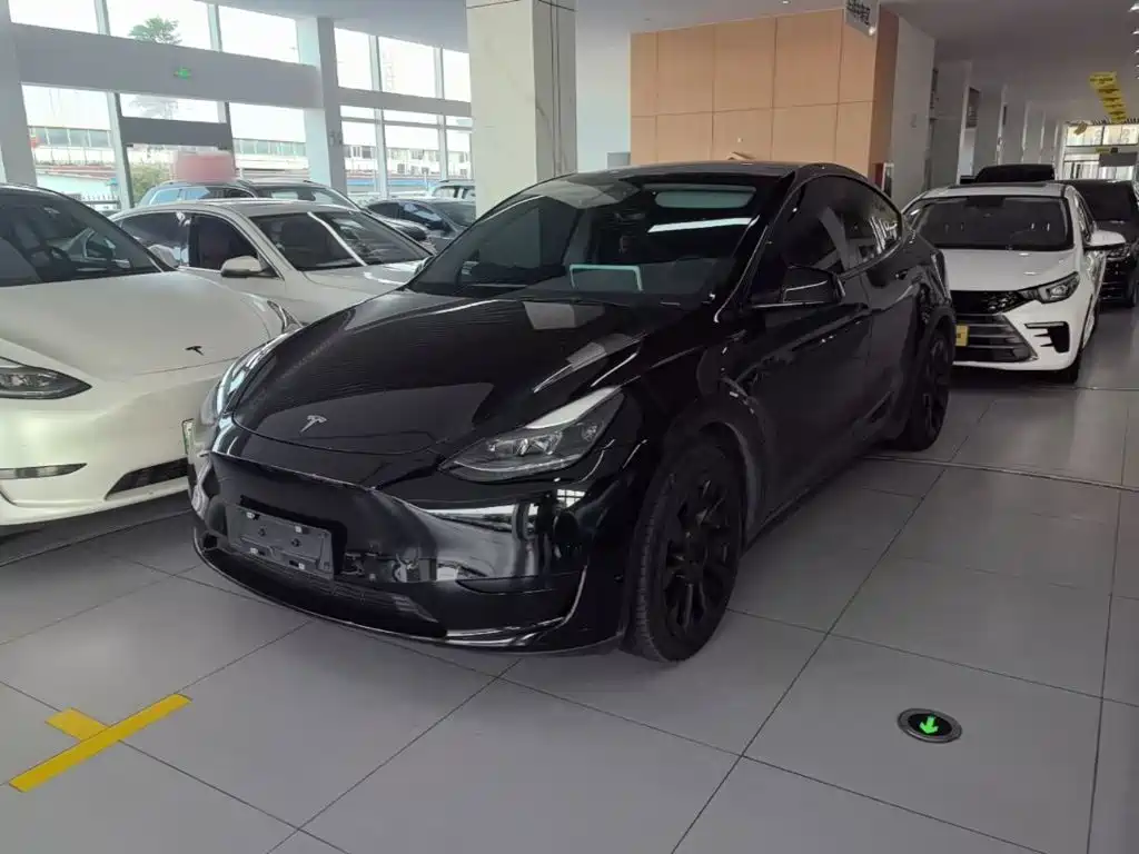 Tesla Model Y — миниатюра 2