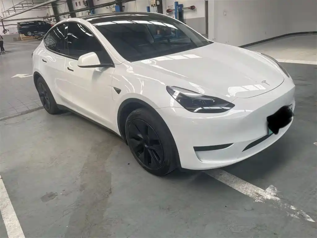 Tesla Model Y — миниатюра 3
