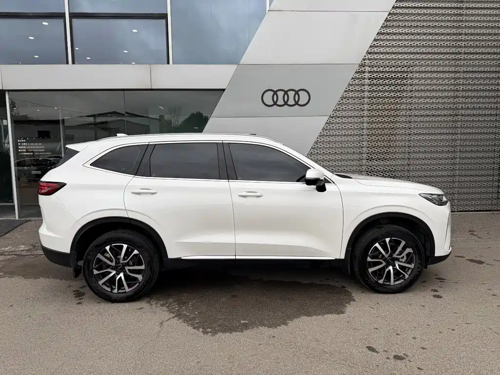 Haval H6 — миниатюра 3
