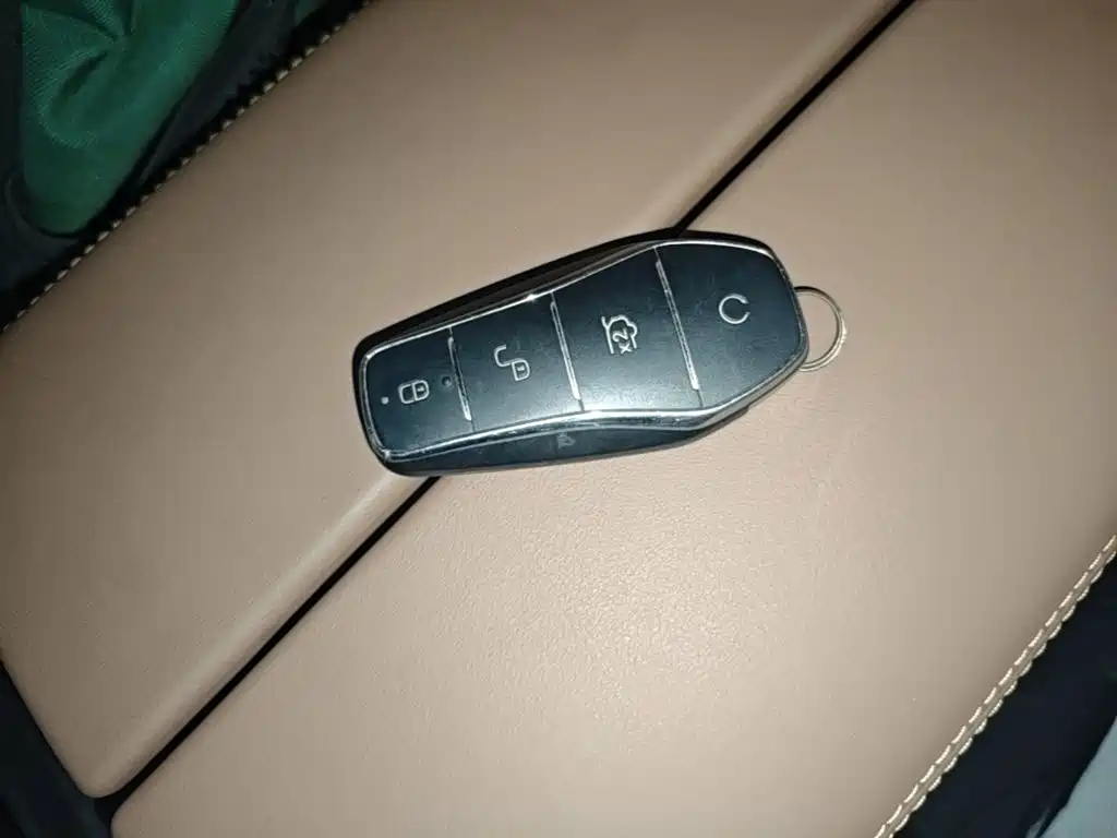 BYD Tang New Energy — миниатюра 9