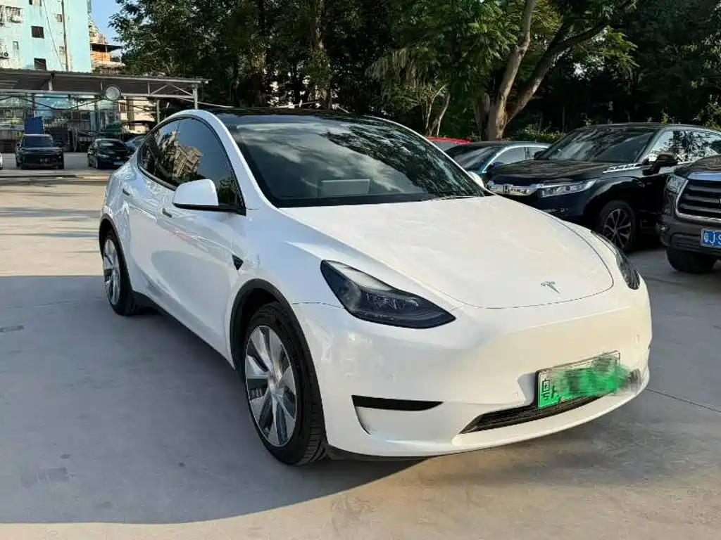 Tesla Model Y — миниатюра 3