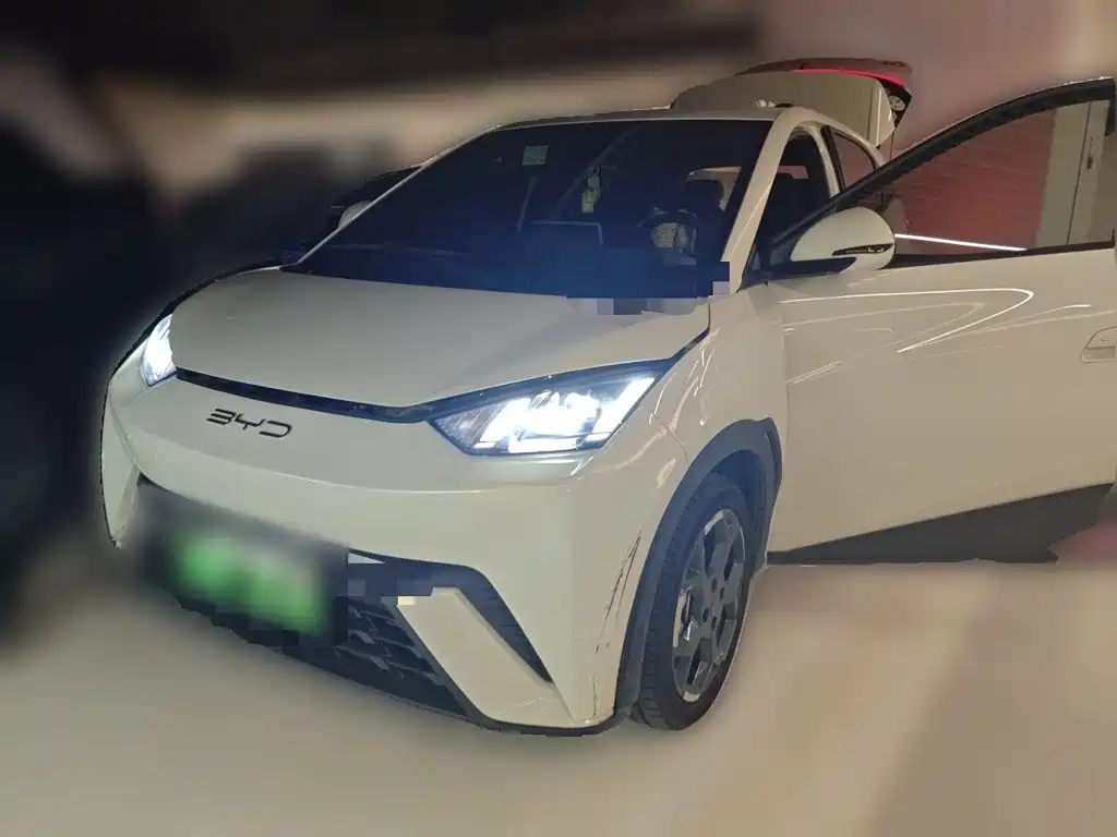BYD Seagull