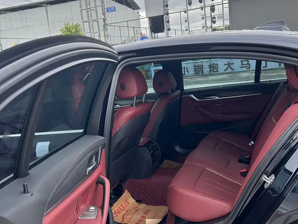 BMW 5 Series 530Li Leading Type M Sport Package, фото 5