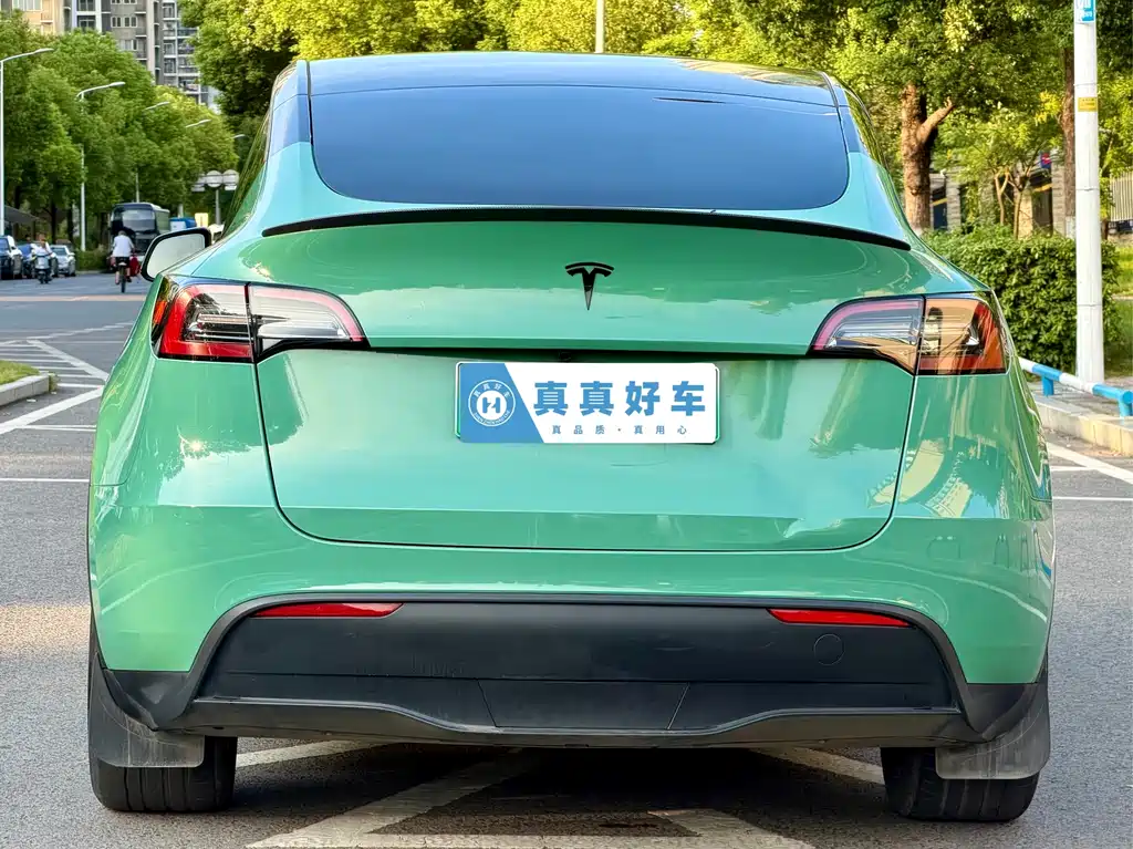 Tesla Model Y — миниатюра 5