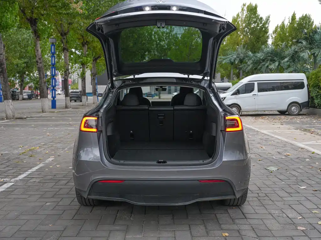 Tesla Model Y — миниатюра 9