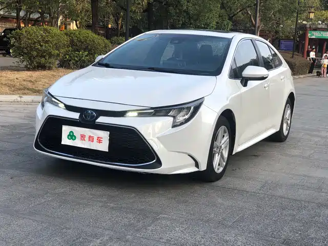 TOYOTA LEI LING 2021